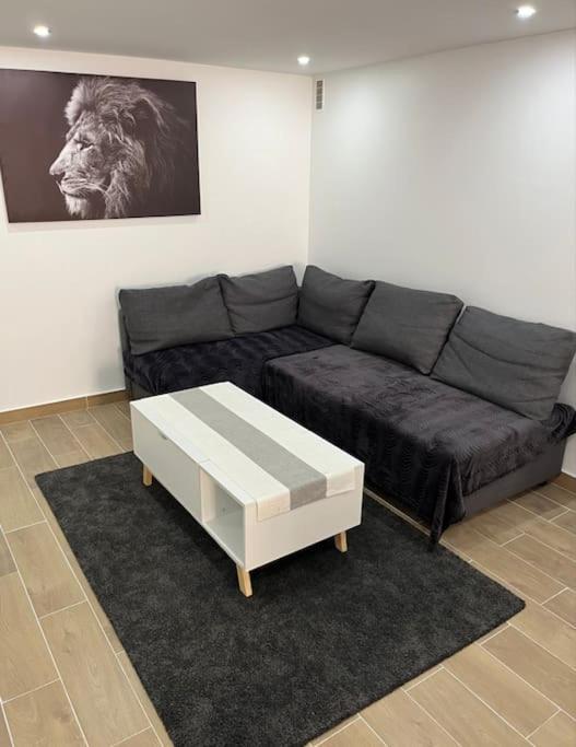 Logement Neuf A 25Mn Disneyland Et Paris Est Thorigny-sur-Marne 外观 照片
